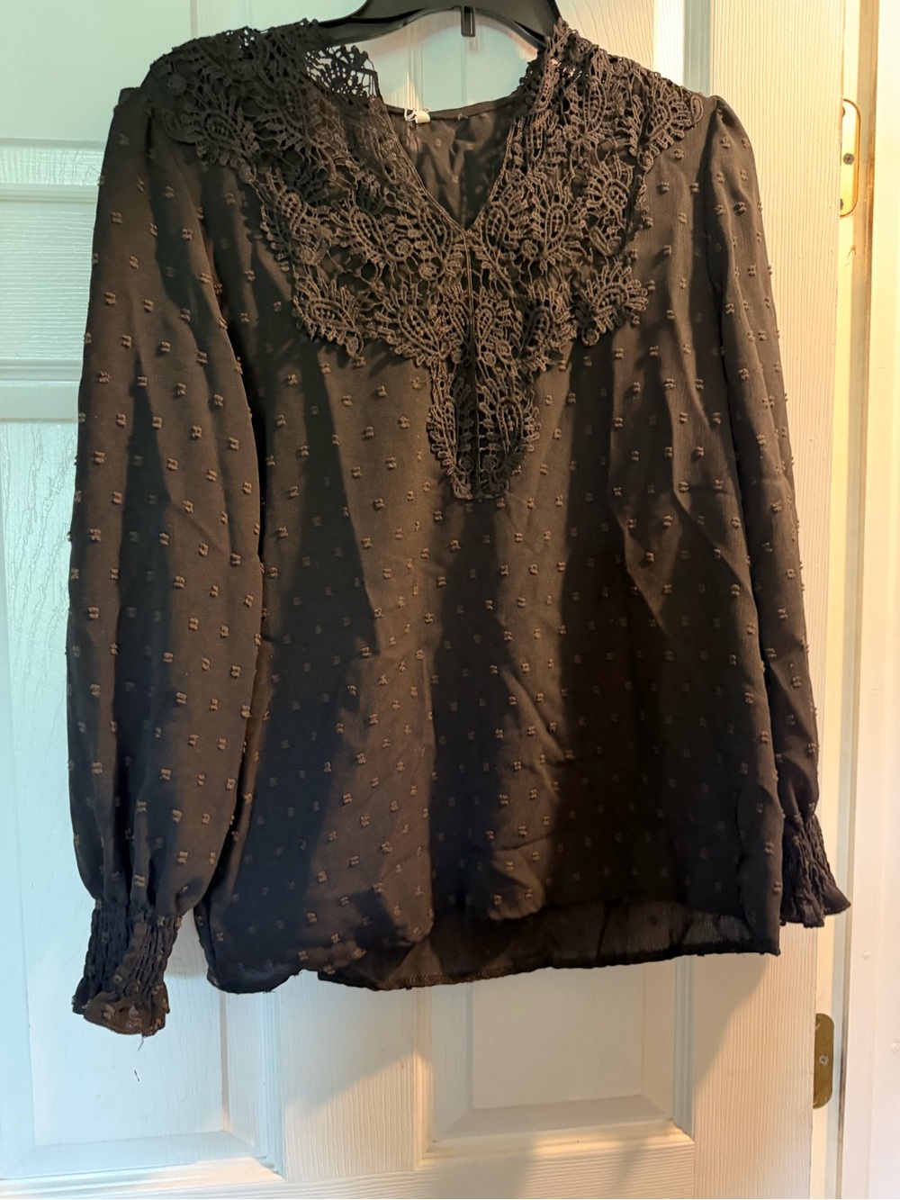 Women's Black Lace-Detail Swiss Dot Blouse